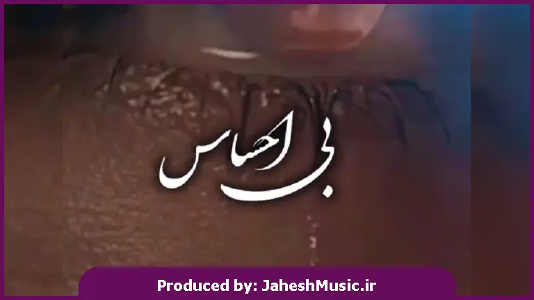 دانلود آهنگ بی احساس همه دار و ندارم و پای تو دادم 